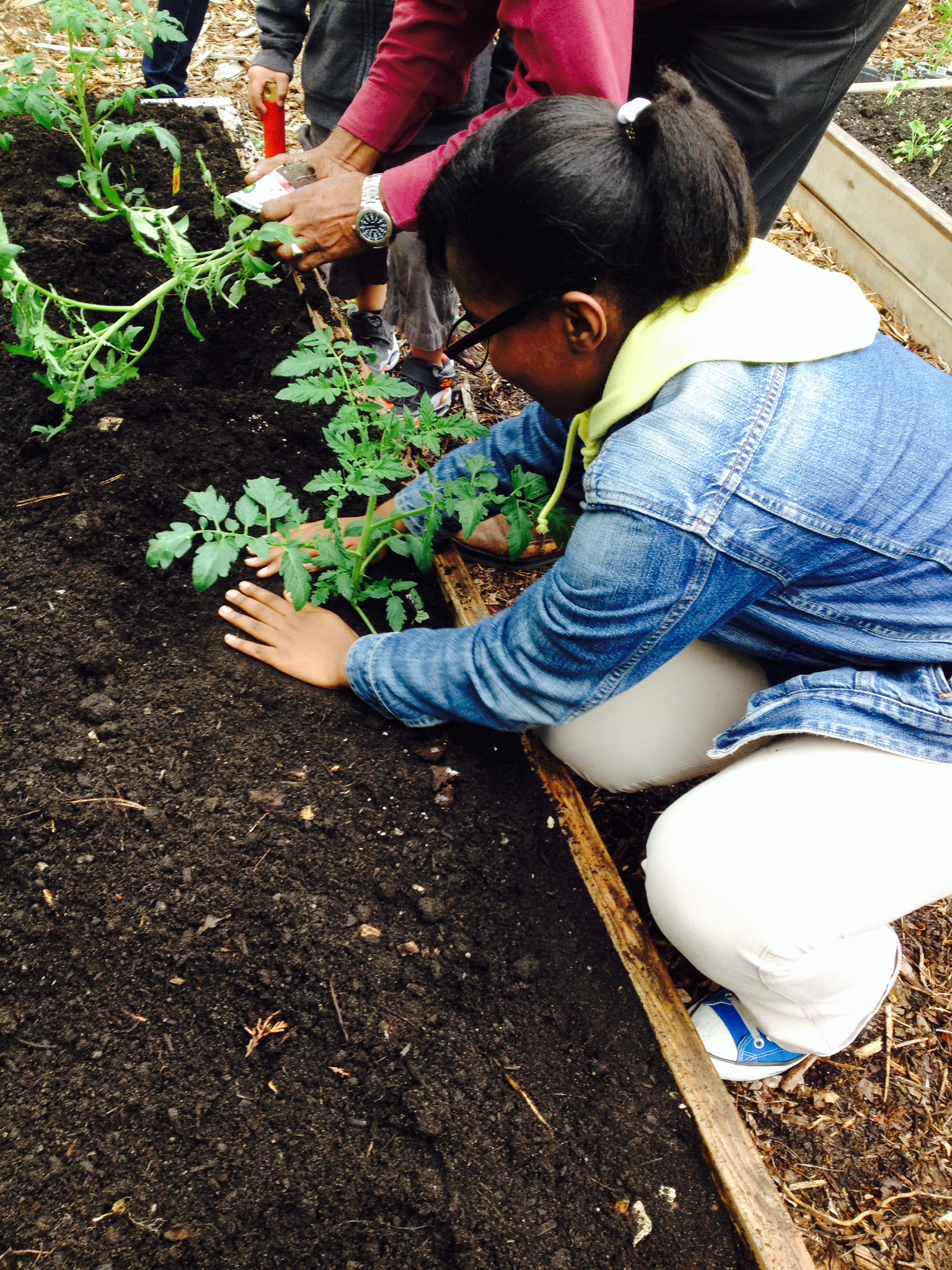 Photo 6 from Settlement Housing Fund, Inc.